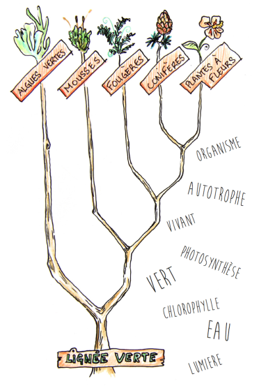Capture d’écran 2017-09-08 à 20.18.27.png