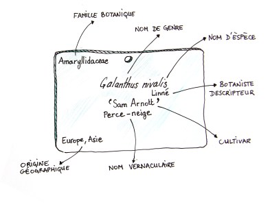 étiquette bota.jpg