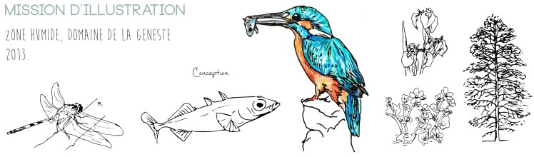 mission illustration site web.jpg