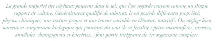 Capture d’écran 2017-11-13 à 16.20.17.png