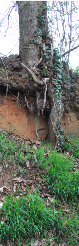 Capture d’écran 2017-11-13 à 16.20.49.png