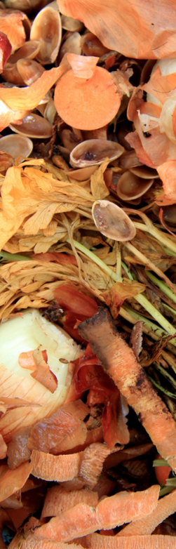 Capture d’écran 2017-12-11 à 15.43.21.png