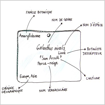 Miniatures astuces et conseils1.jpg