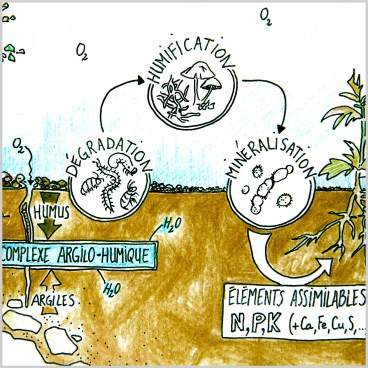 Miniatures astuces et conseils2.jpg