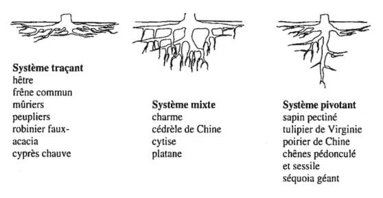 Capture d’écran 2017-10-18 à 11.26.52.png