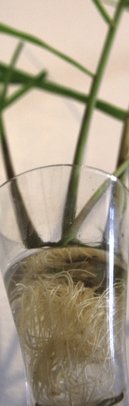 Capture d_écran 2018-03-09 à 17.17.31