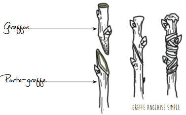 Capture d’écran 2018-04-19 à 15.43.50.png
