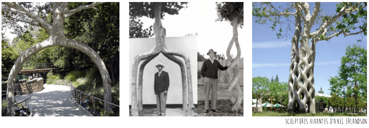 Capture d’écran 2018-04-19 à 15.43.59.png