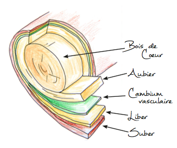 Capture d’écran 2018-04-19 à 15.44.16.png