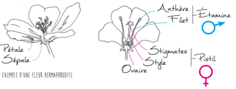 Capture d’écran 2018-07-19 à 11.42.05.png