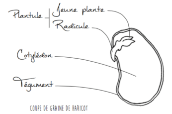 Capture d’écran 2018-07-19 à 11.42.22.png