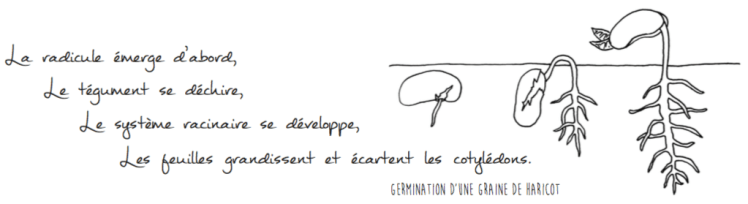 Capture d’écran 2018-07-19 à 11.42.37.png