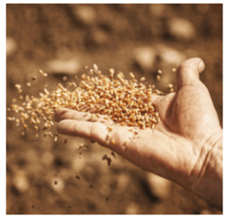 Capture d’écran 2018-08-23 à 17.20.23.png