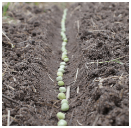 Capture d’écran 2018-08-23 à 17.20.39.png