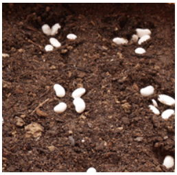 Capture d’écran 2018-08-23 à 17.20.52.png